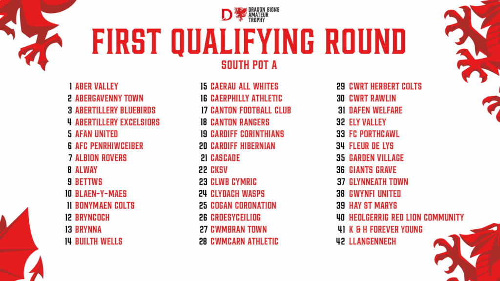 Dragon Signs Amateur Trophy South Pot A ball numbers 1-42