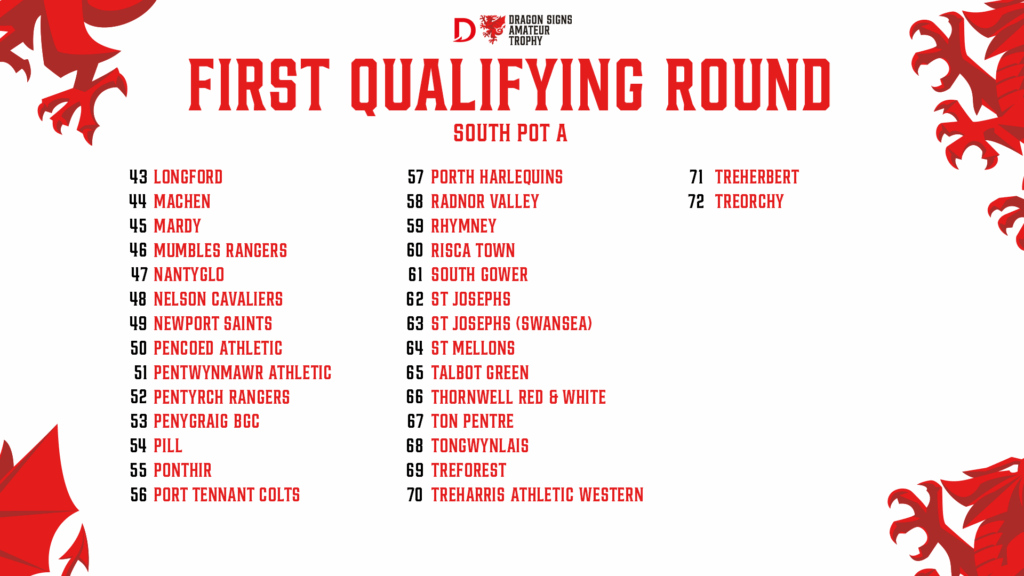 Dragon Signs Amateur Trophy South Pot A ball numbers 43-72